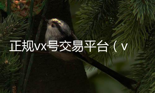 正规vx号交易平台（vx号出售平台,vx号批发）