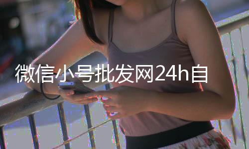 微信小号批发网24h自助发卡（微信小号出售 在线自动发货）