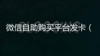 微信自助购买平台发卡（购买微信ck最大自助平台）