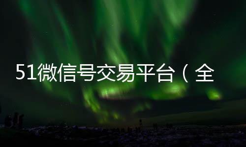 51微信号交易平台（全新微信号2元一个自动下单）