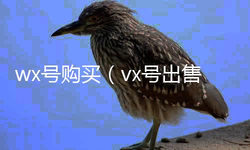 wx号购买（vx号出售平台网）