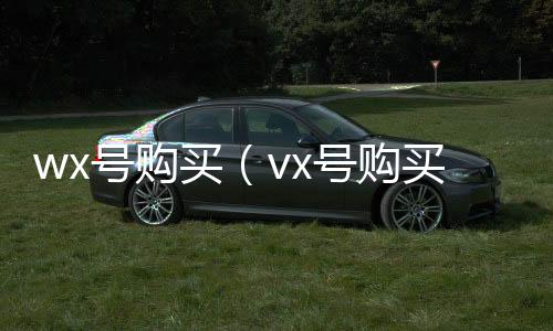 wx号购买（vx号购买）