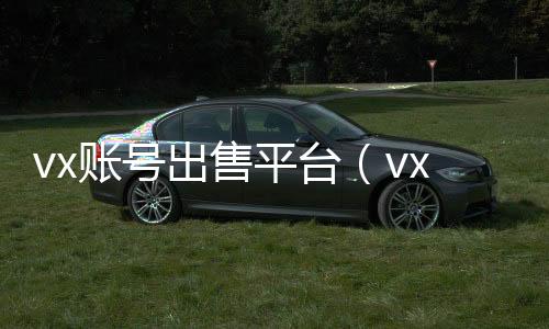 vx账号出售平台（vx号出售平台,vx号批发）