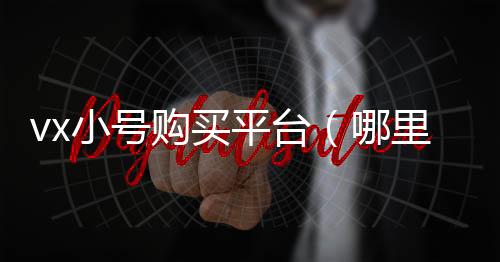 vx小号购买平台（哪里能买到vx小号微信小号购买）